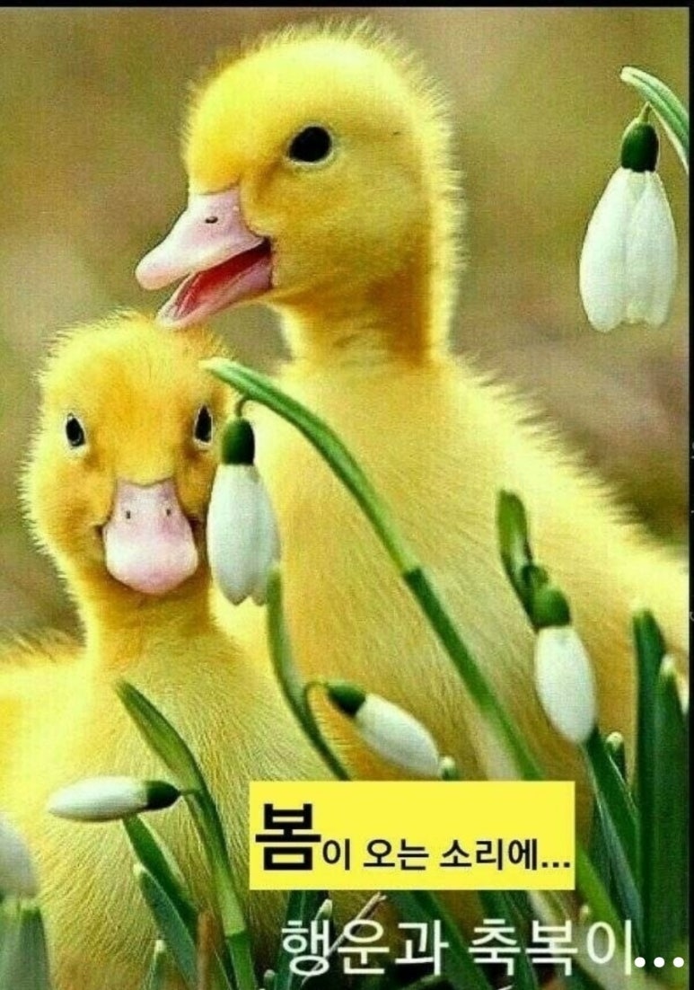 스마일점핑다이어트 이미지