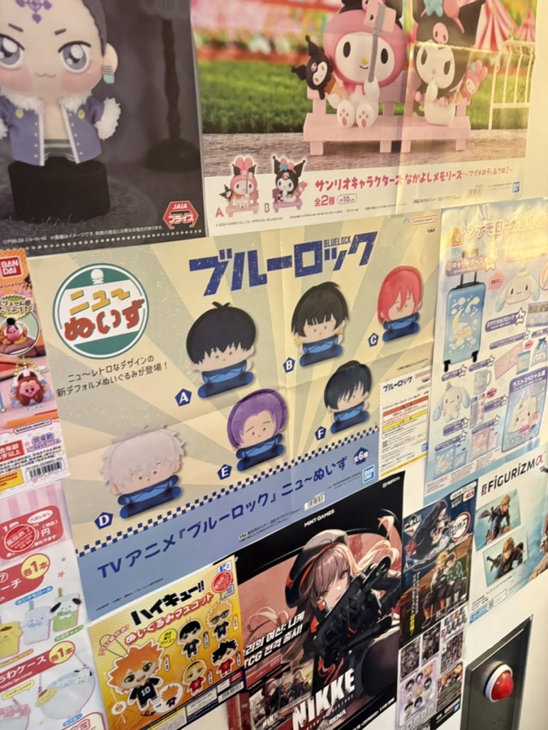 누이즈 이미지