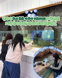 함께 신나는 카페 이미지