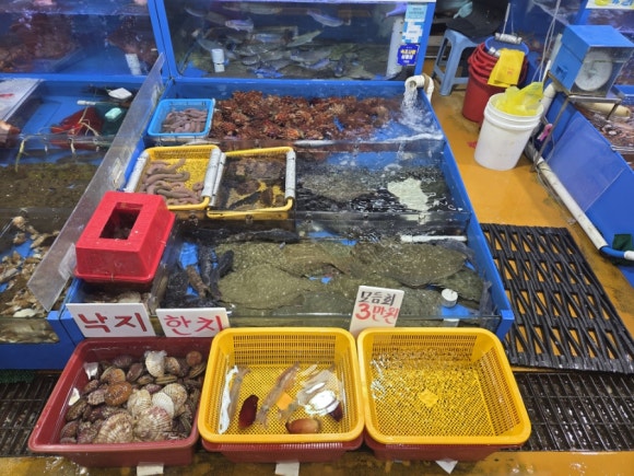 우성수산 이미지