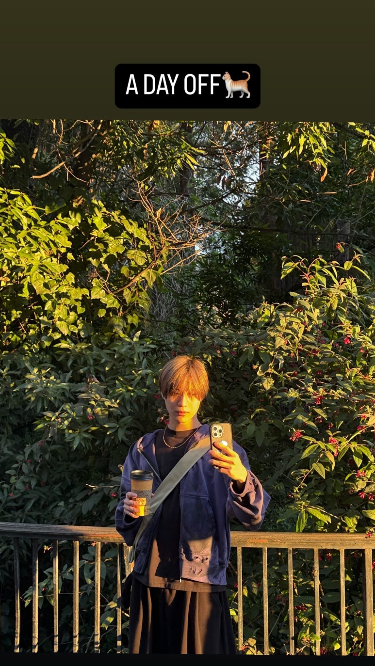 노랑머리 이미지