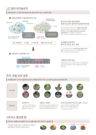 헤어 피오레 이미지