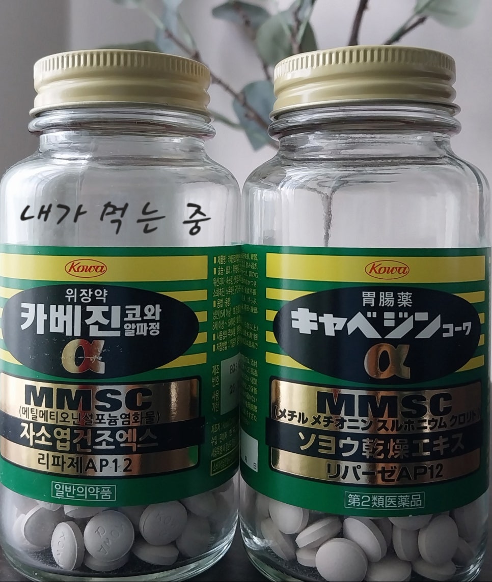 정쉐프 제빵소 이미지
