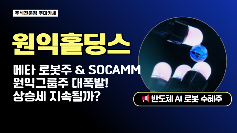 (주)원익홀딩스 이미지
