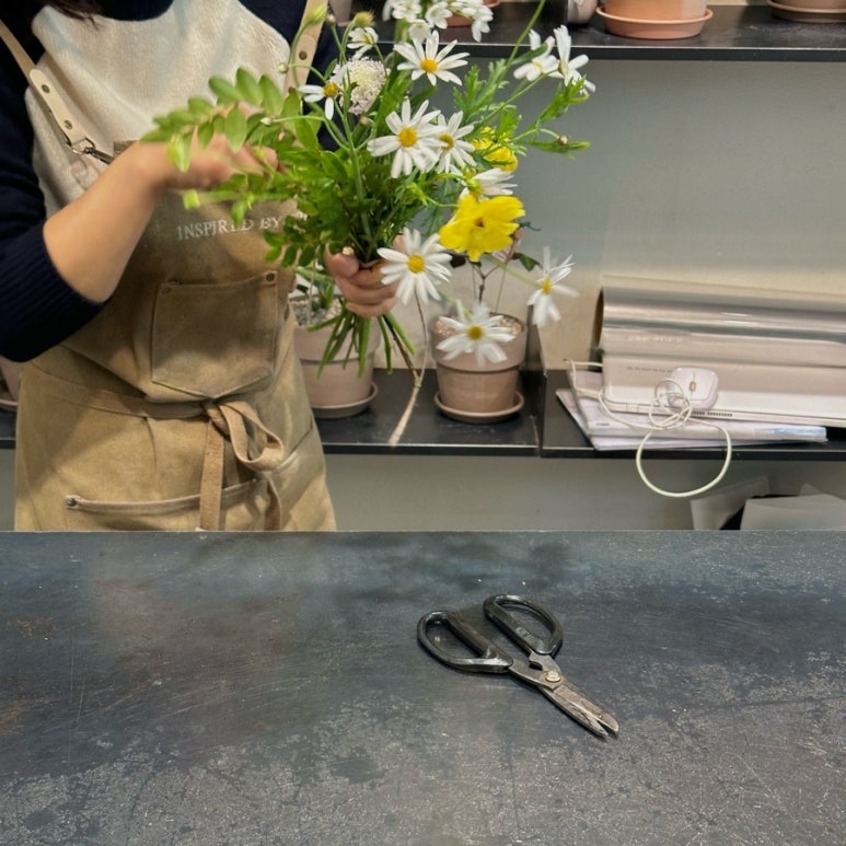 바이 조조 이미지