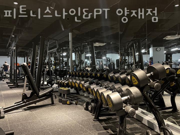나인다방 이미지