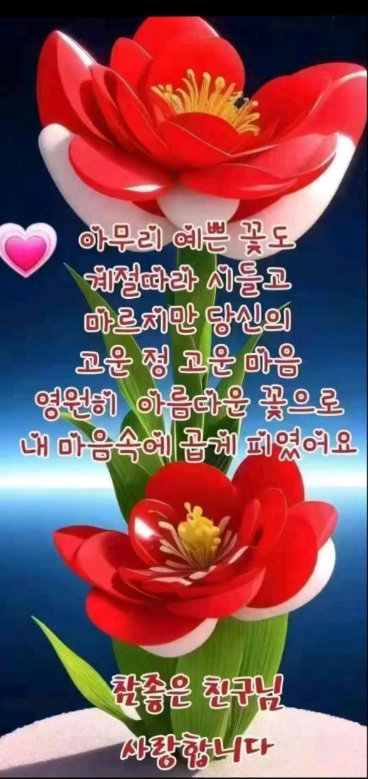수지상사 이미지