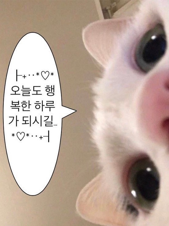 현이네곱창 이미지