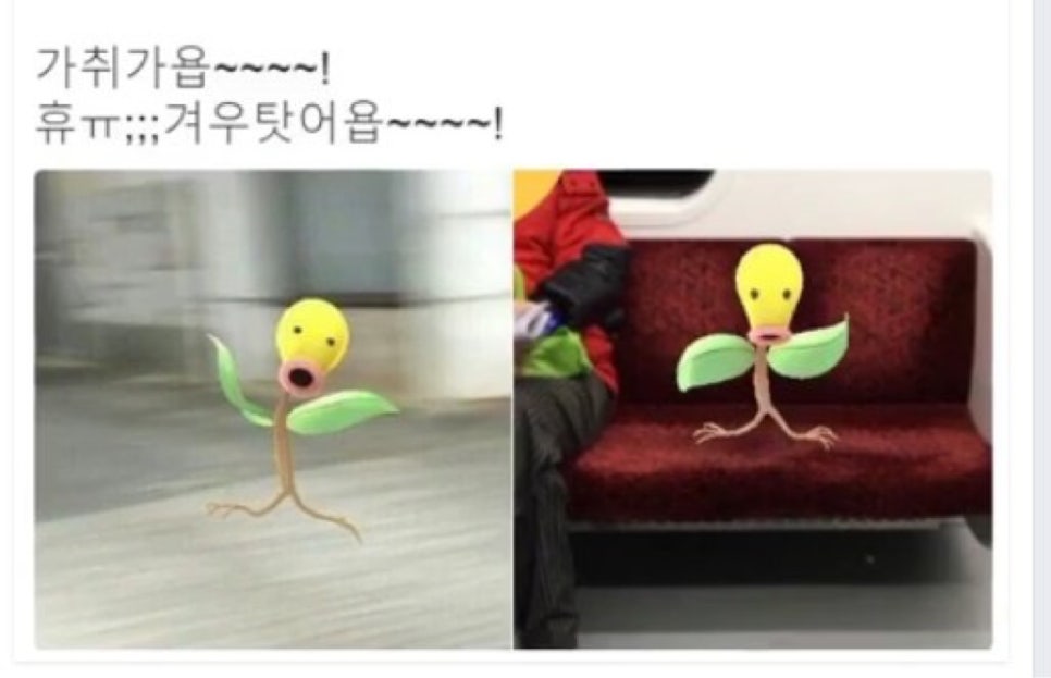 주댕이네 이미지