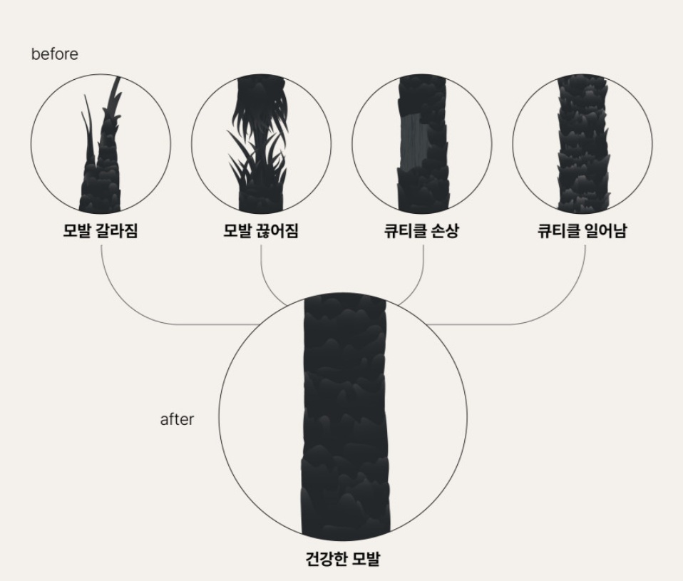 염색&펌 이미지