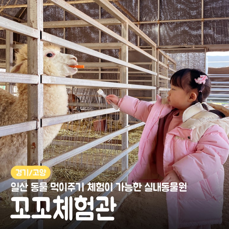 꼬꼬농장 이미지