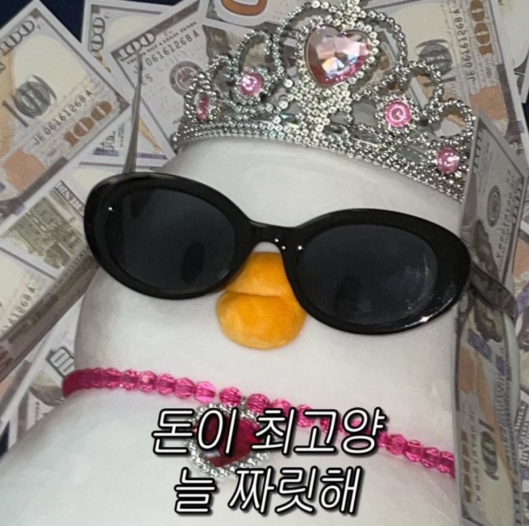 더오리 이미지