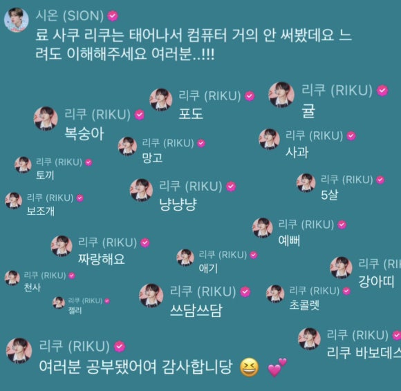 께끼 이미지
