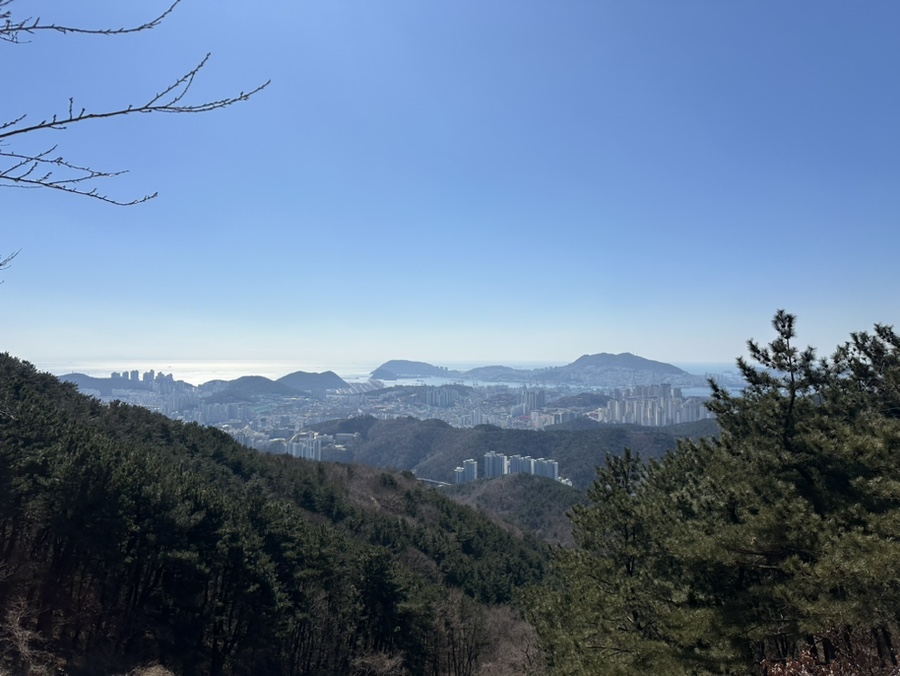 남천삼계탕 이미지