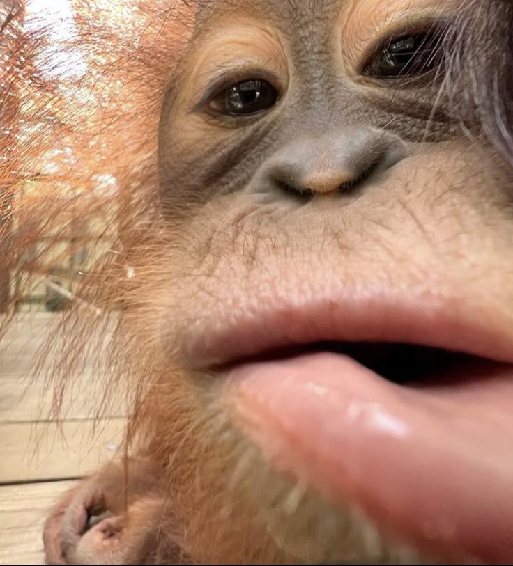 동경횟집 이미지