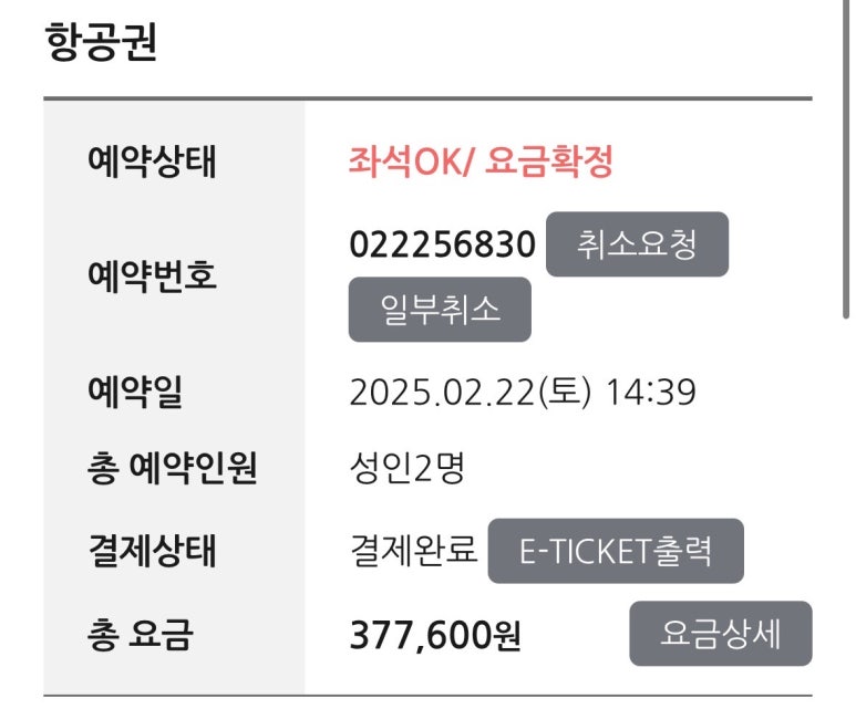 럭키항공여행사 이미지