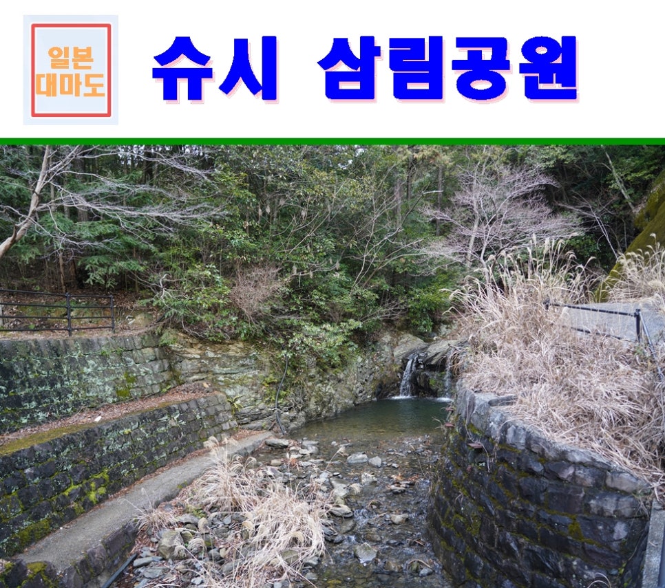 삼림영상 이미지