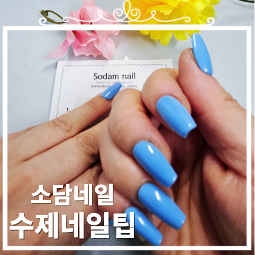 소담;네일 이미지