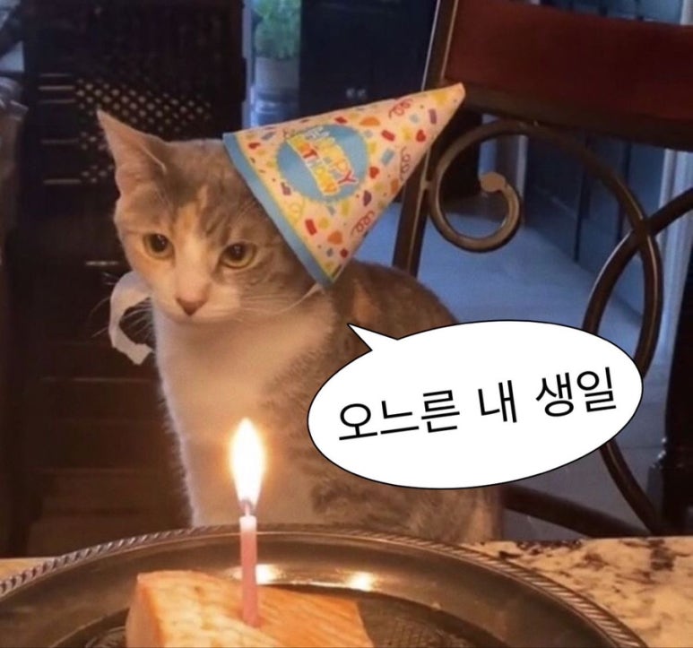 림지케이크 이미지