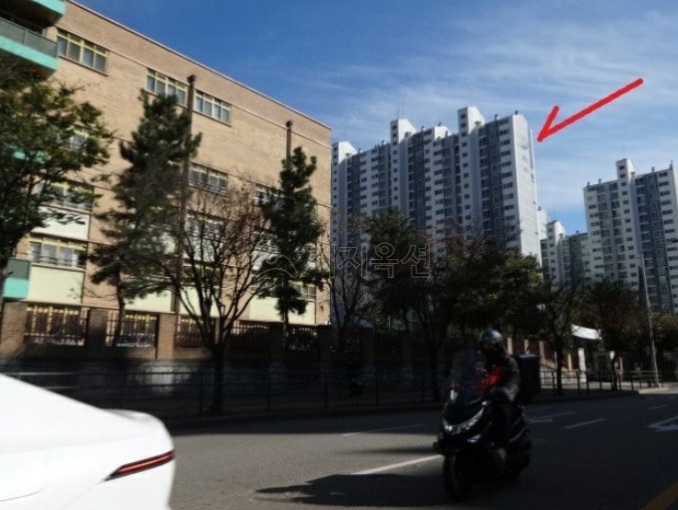 버들151 이미지