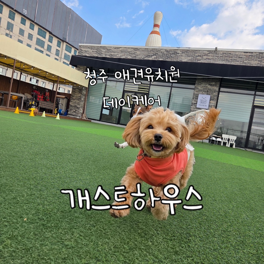 개스트하우스 청주점 이미지