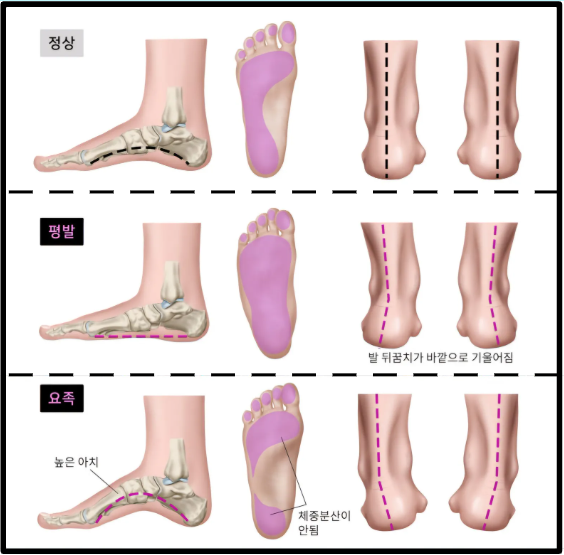 핏타운 이미지