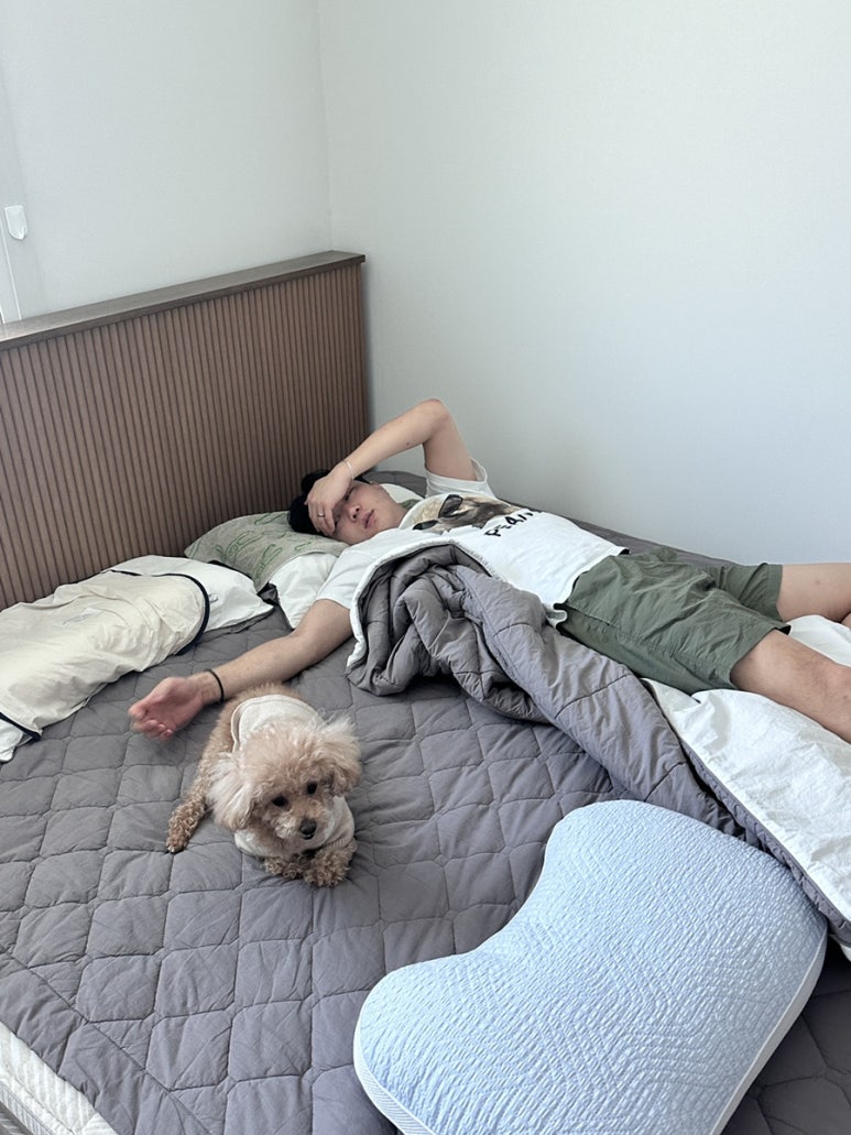 수현상회 이미지