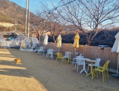 히푸(HIPPU) 이미지