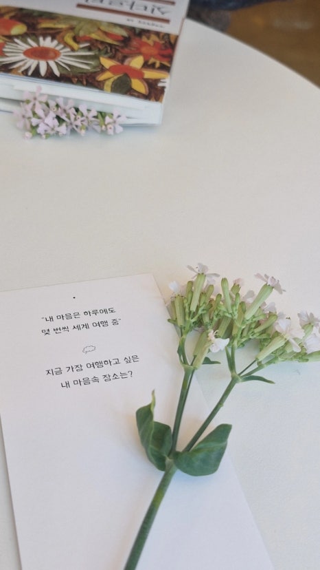 삼다북카페 이미지