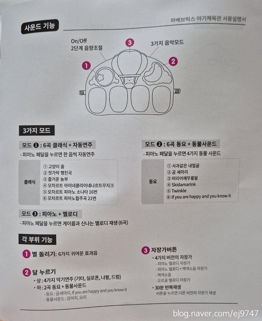 곰체육관 이미지