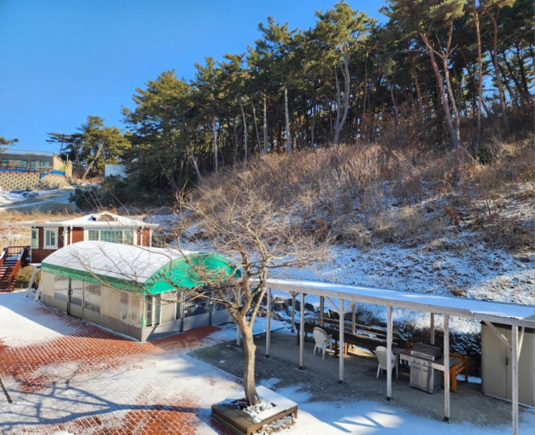 곰섬파라다이스2 이미지