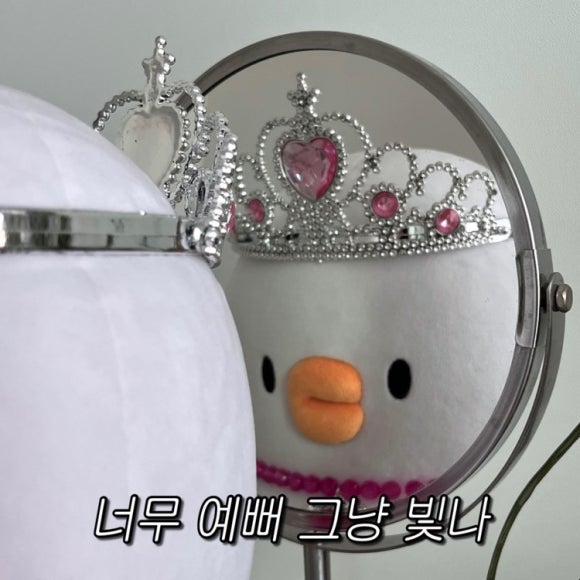더오리 이미지