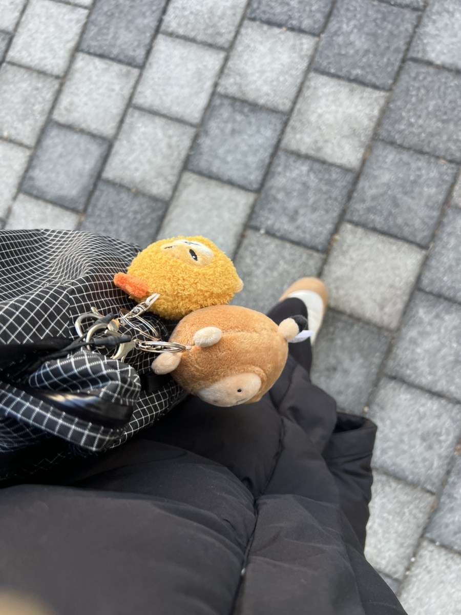 하누둥이 이미지