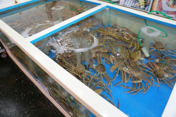 영덕대게본가죽도산 이미지