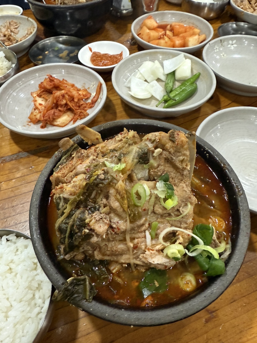 다영황 이미지