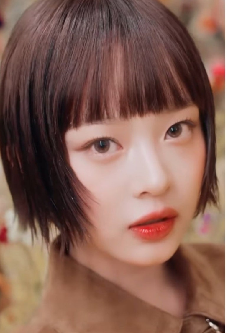 컷헤어 이미지