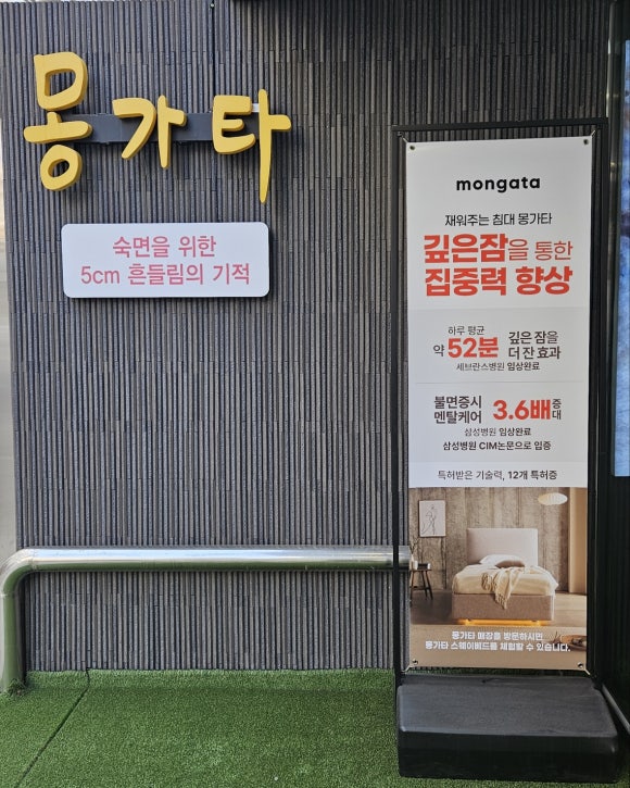 몽가타 이미지