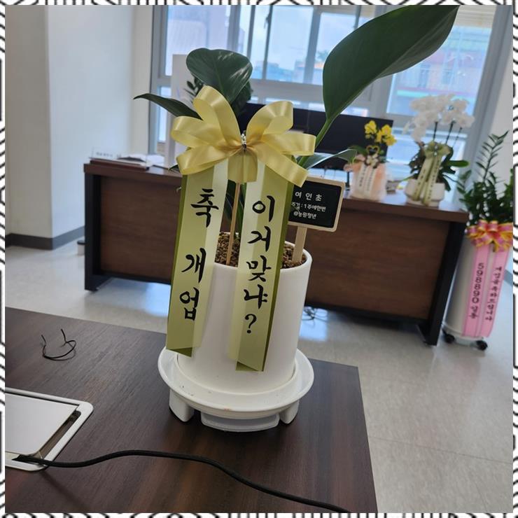 하나세무회계컨설팅 이미지