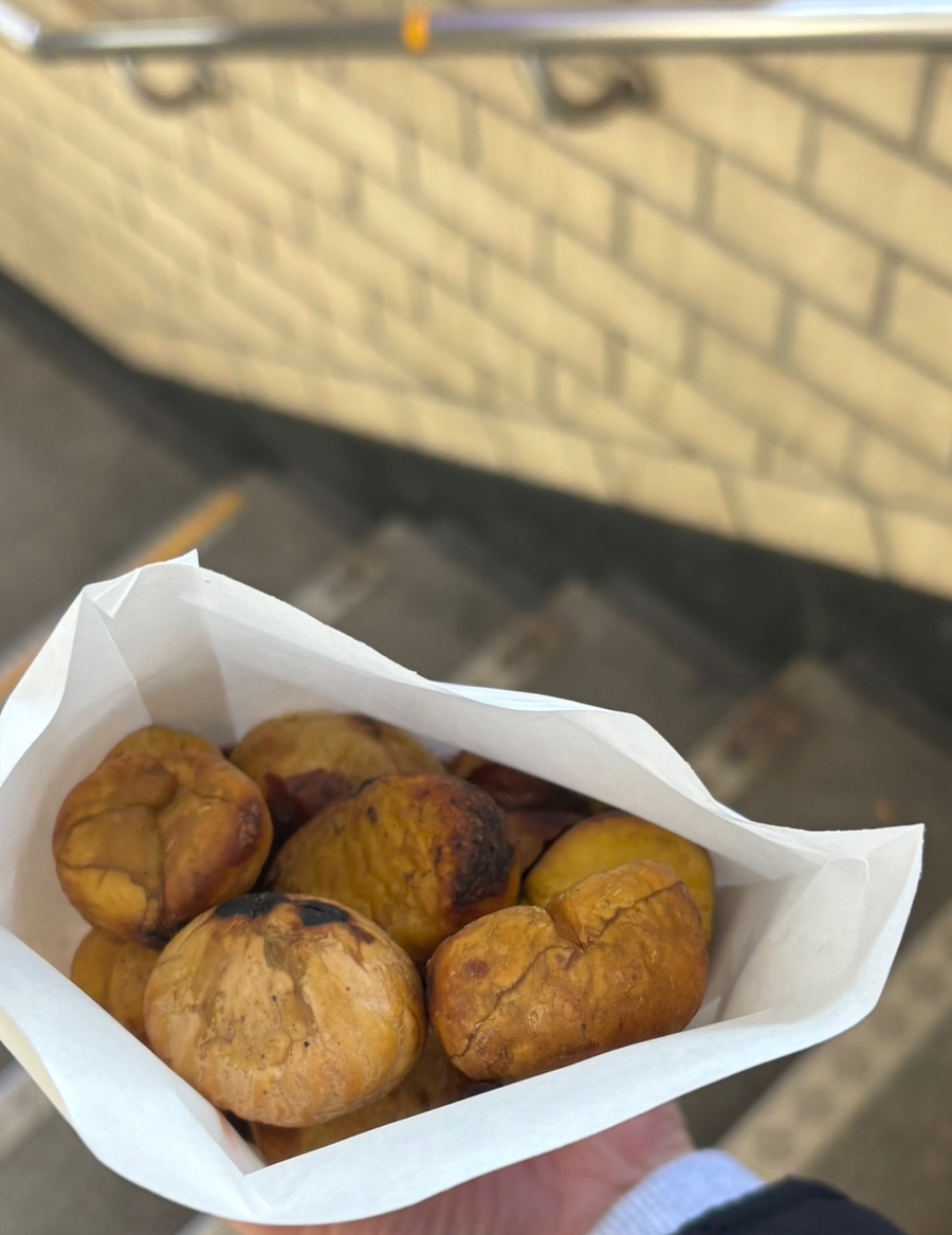 (주)웨이브밤 이미지