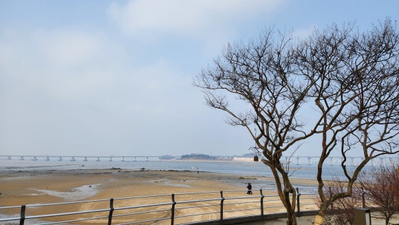 BB투어 여행사 이미지