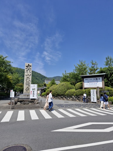 지온숲 이미지
