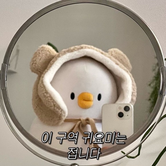 더오리 이미지