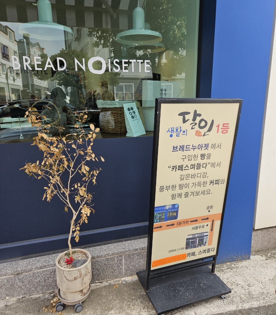 브레드누아젯 이미지