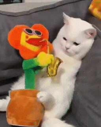 막내상회 이미지