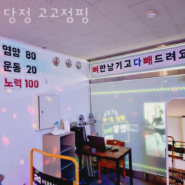 고고점핑 이미지