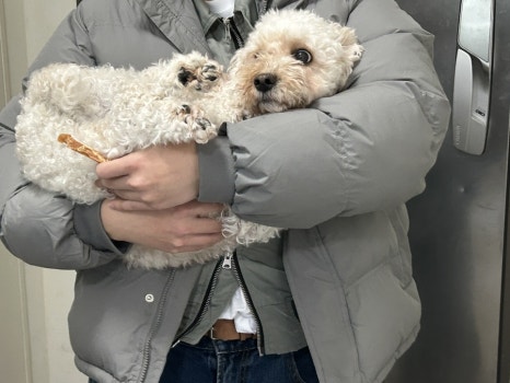 한이세탁소 이미지