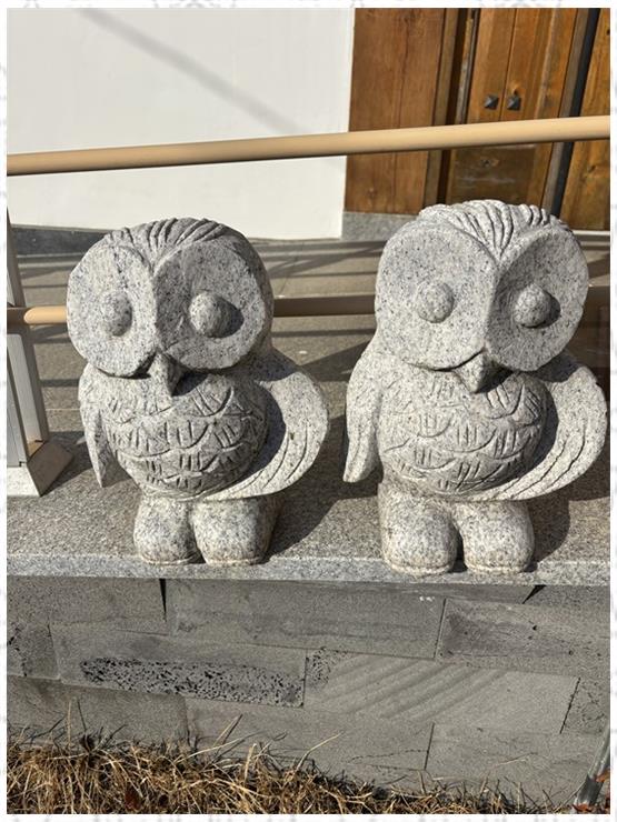 라파엘메디케어 이미지