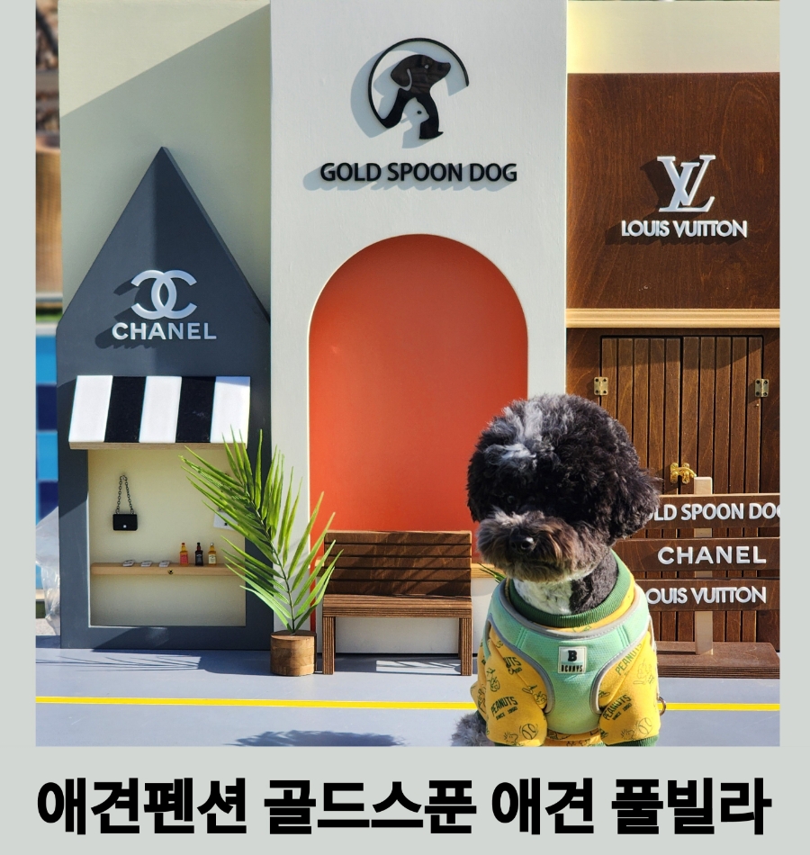 골드스푼애견풀빌라 이미지