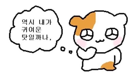 퍼머넌트 이미지