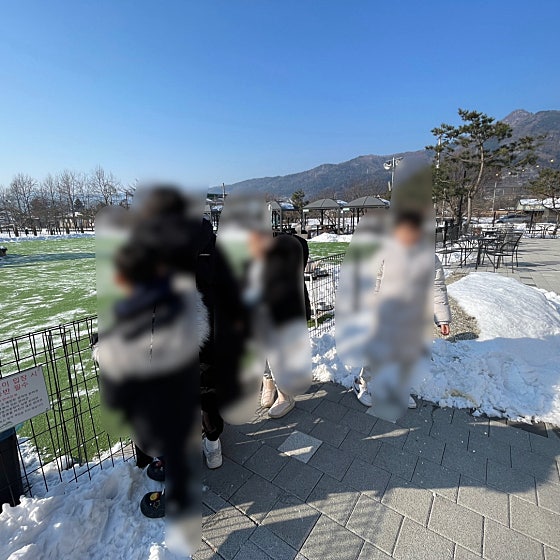 아워포레스트 이미지
